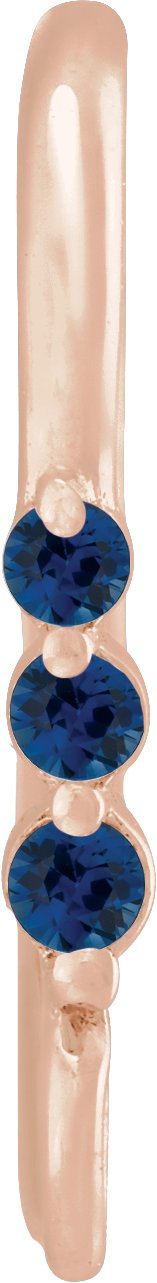 Graduated Accented Earring Top