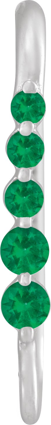 Graduated Accented Earring Top