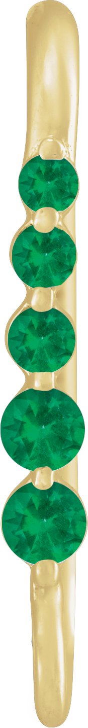 Graduated Accented Earring Top
