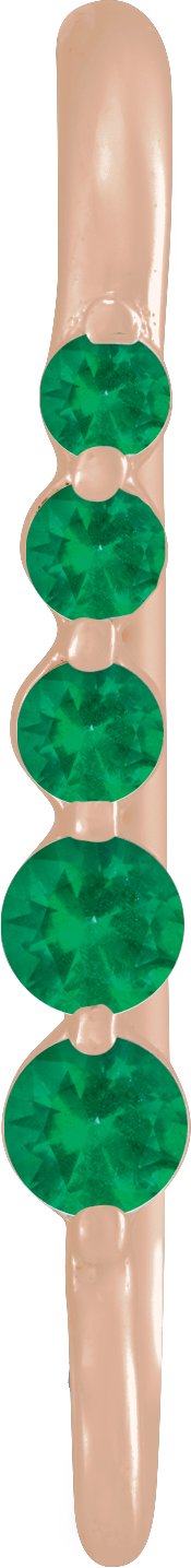 Graduated Accented Earring Top