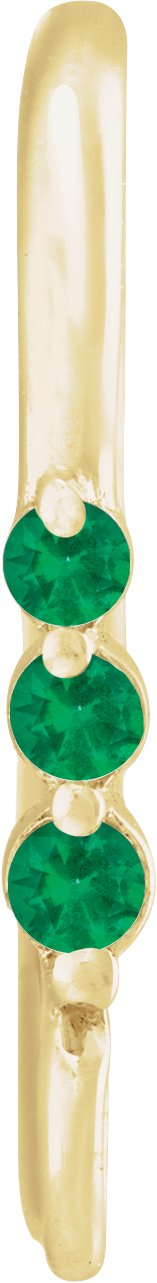 Graduated Accented Earring Top