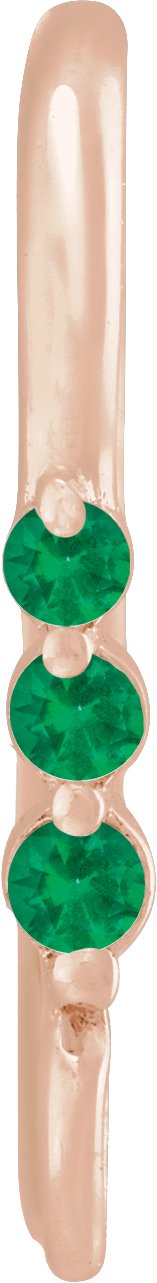 Graduated Accented Earring Top