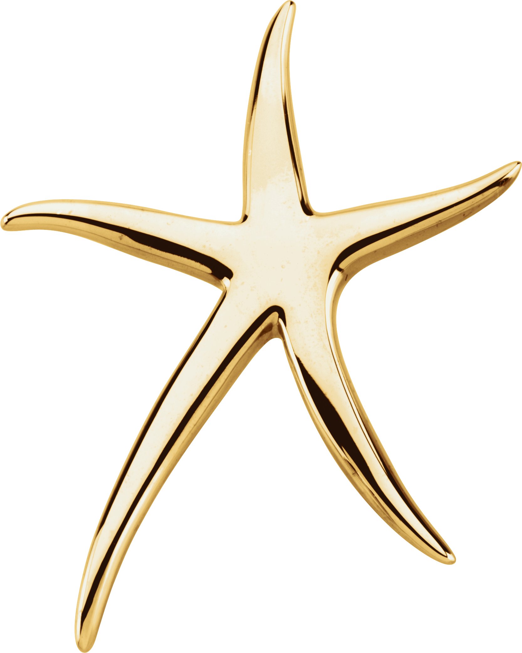 14K Yellow Gold Starfish Brooch/Pendant
