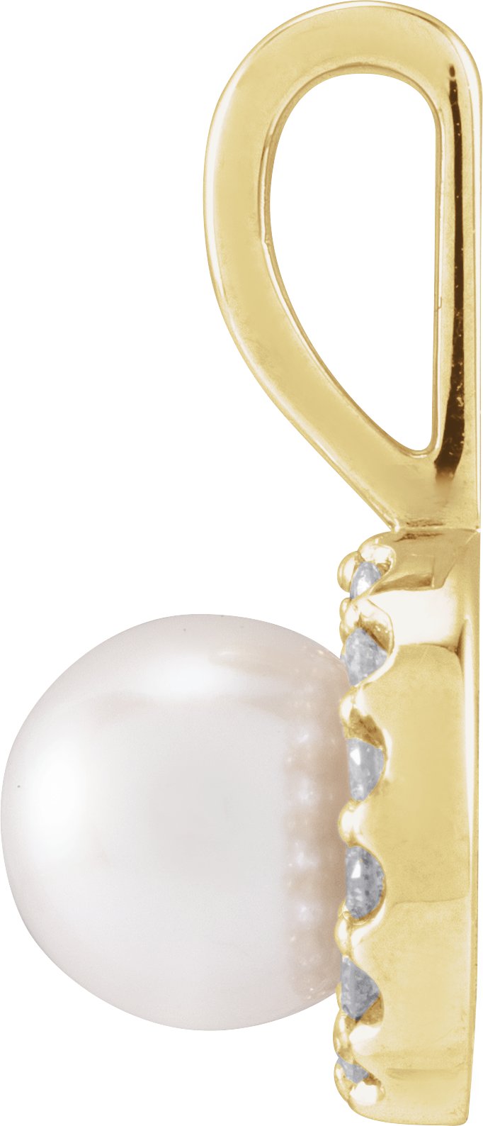product-image-2