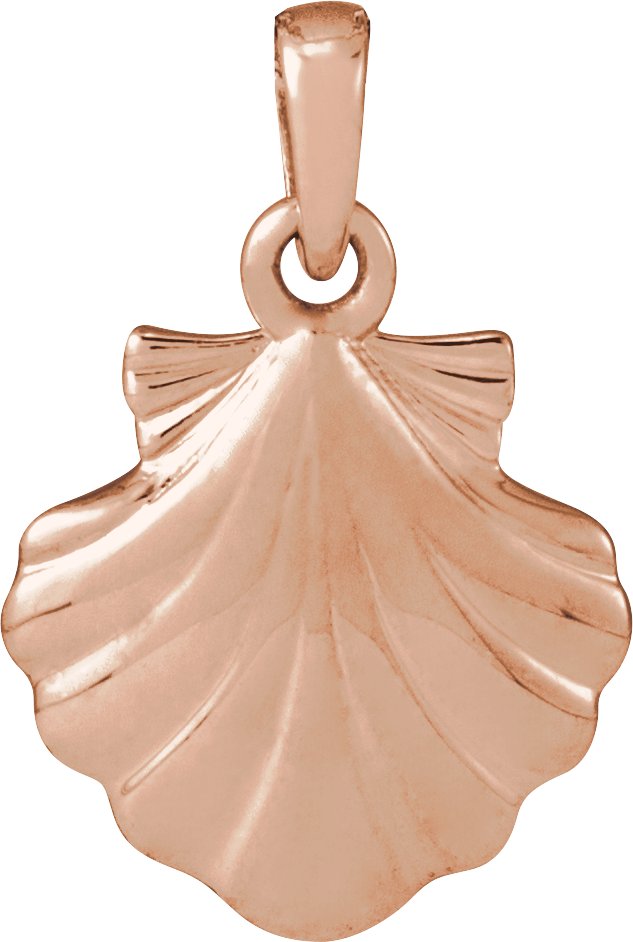 Shell Necklace or Pendant