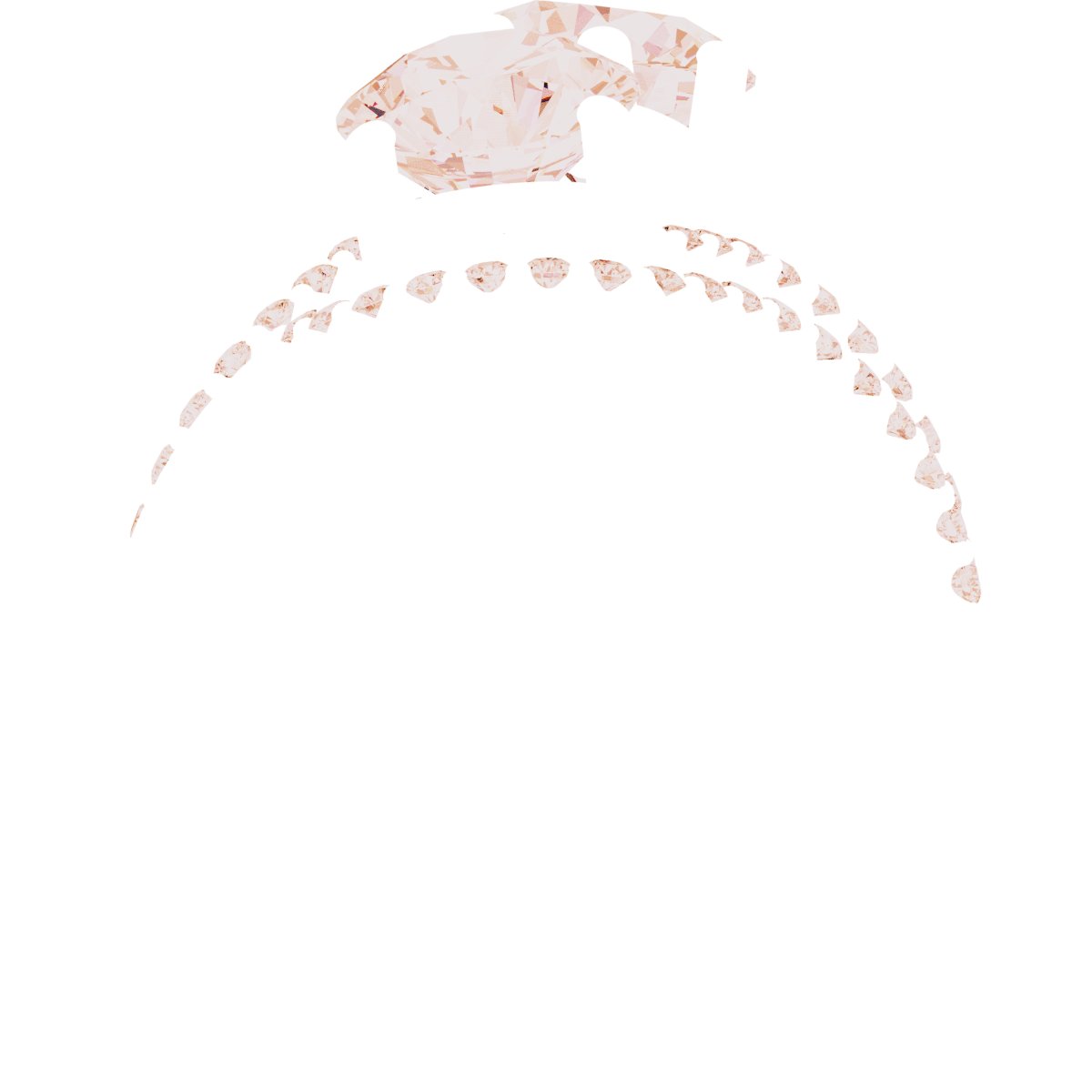 Product Variant Image