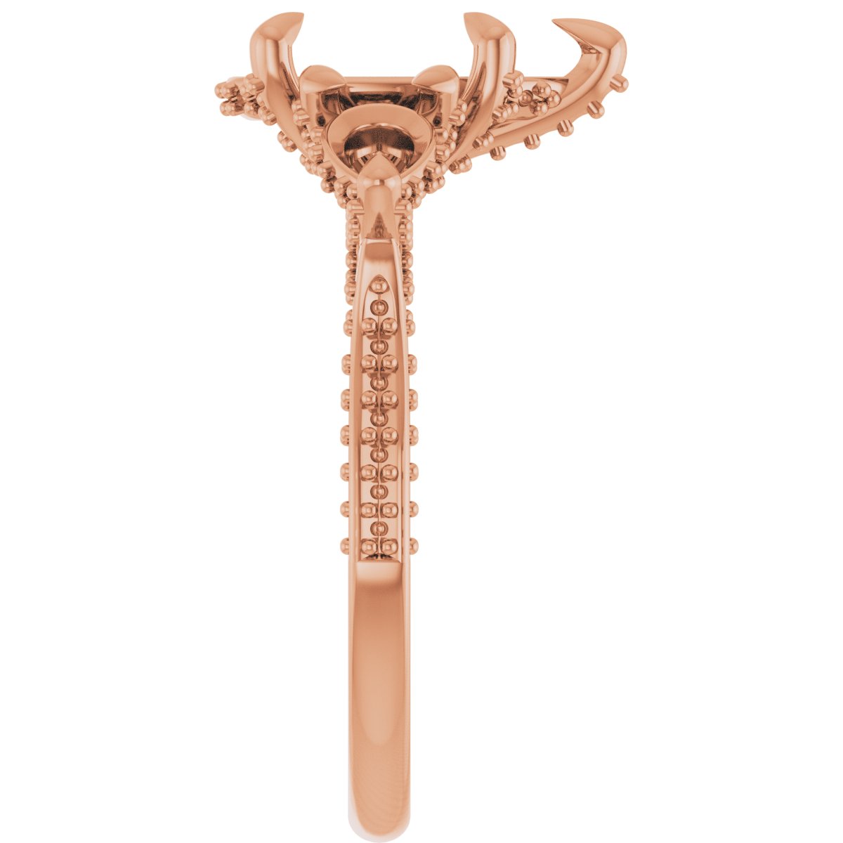 Product Variant Image