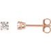 14K Rose 1/4 CTW Lab-Grown Diamond Stud Earrings