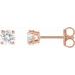 14K Rose 1/2 CTW Lab-Grown Diamond Stud Earrings