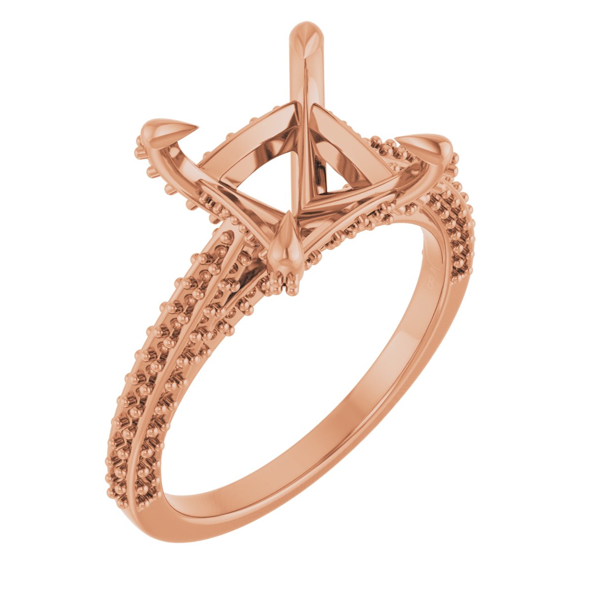 Product Variant Image
