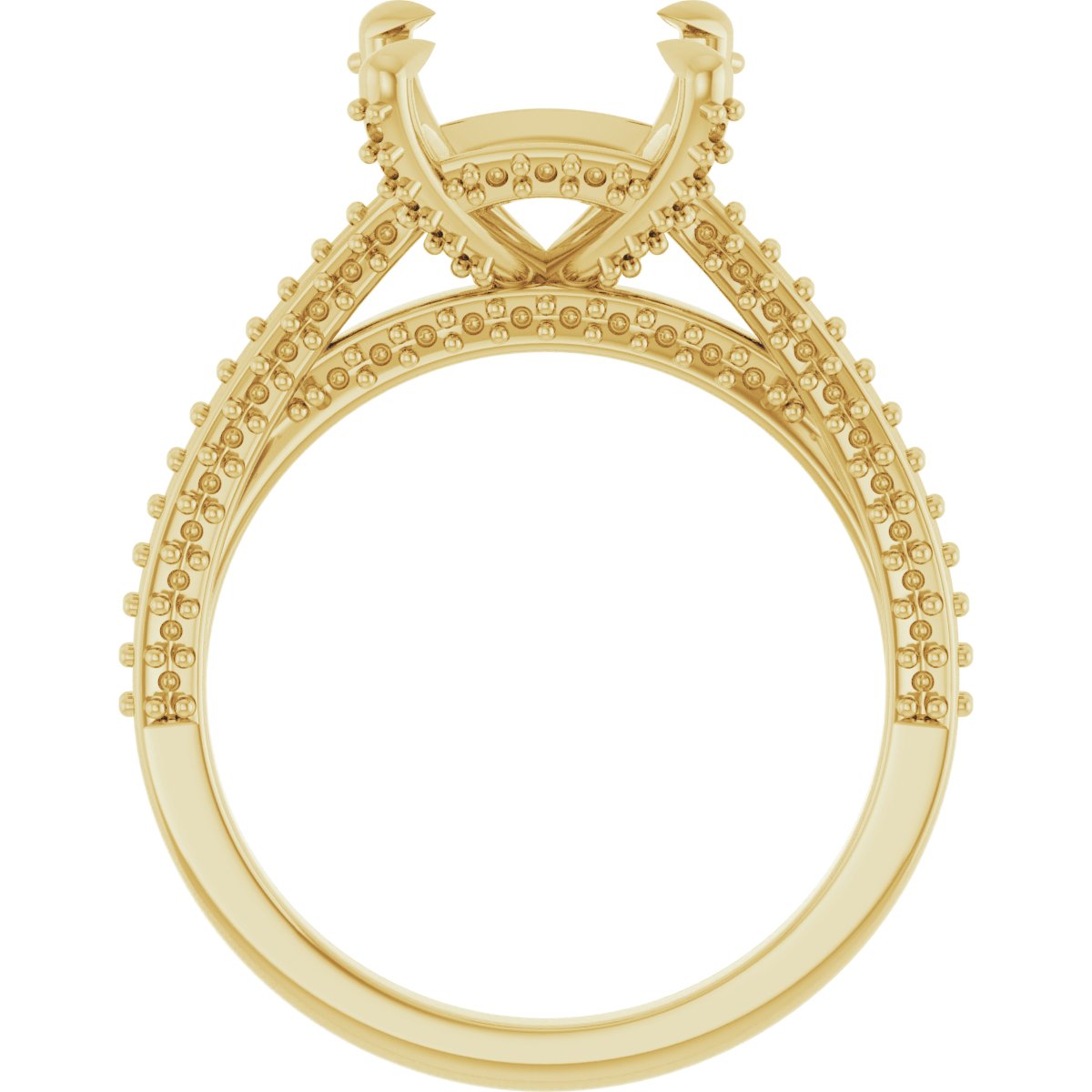 Product Variant Image