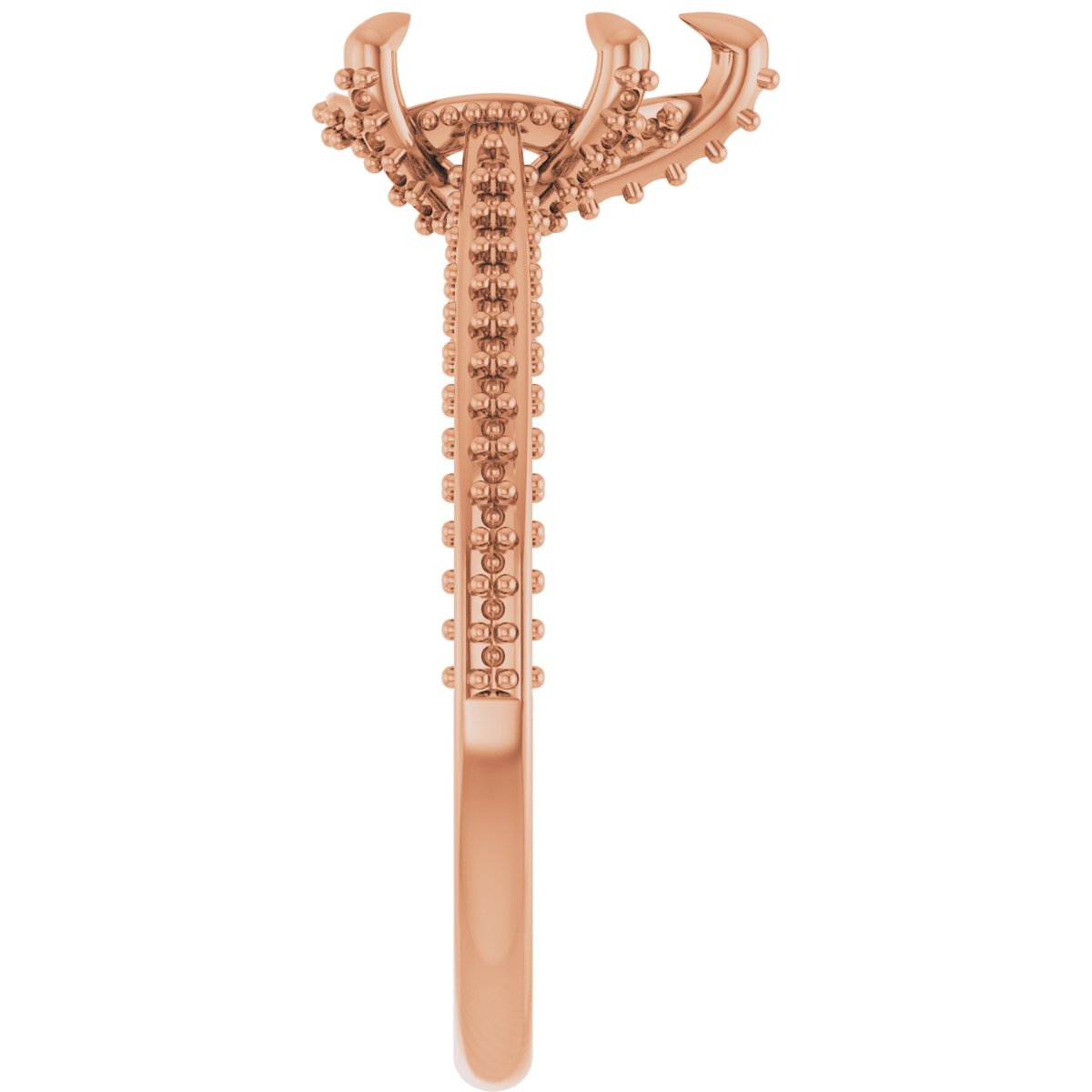 Product Variant Image