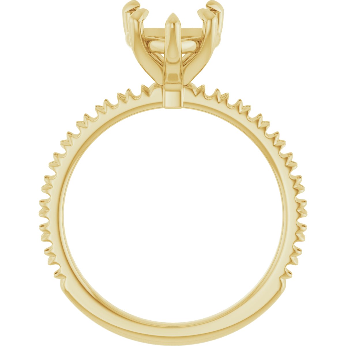 Product Variant Image