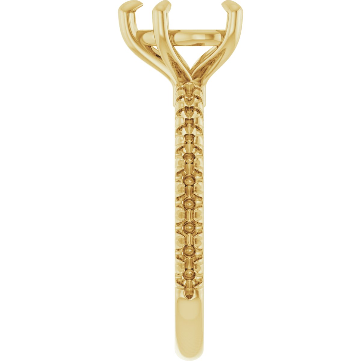 Product Variant Image