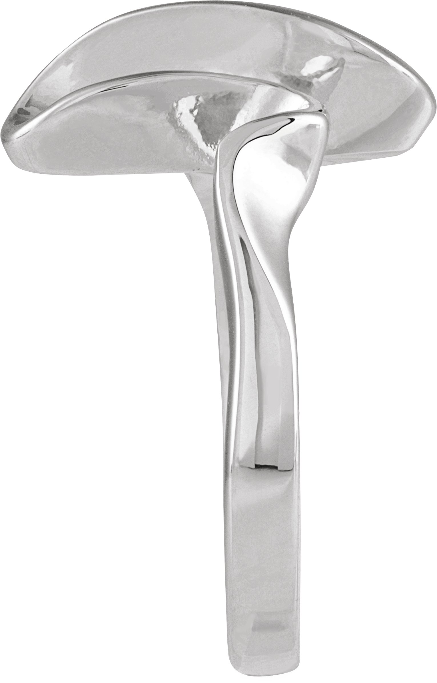 Freeform Ring view 3