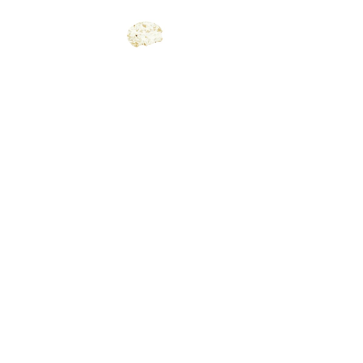 14k Yellow Gold