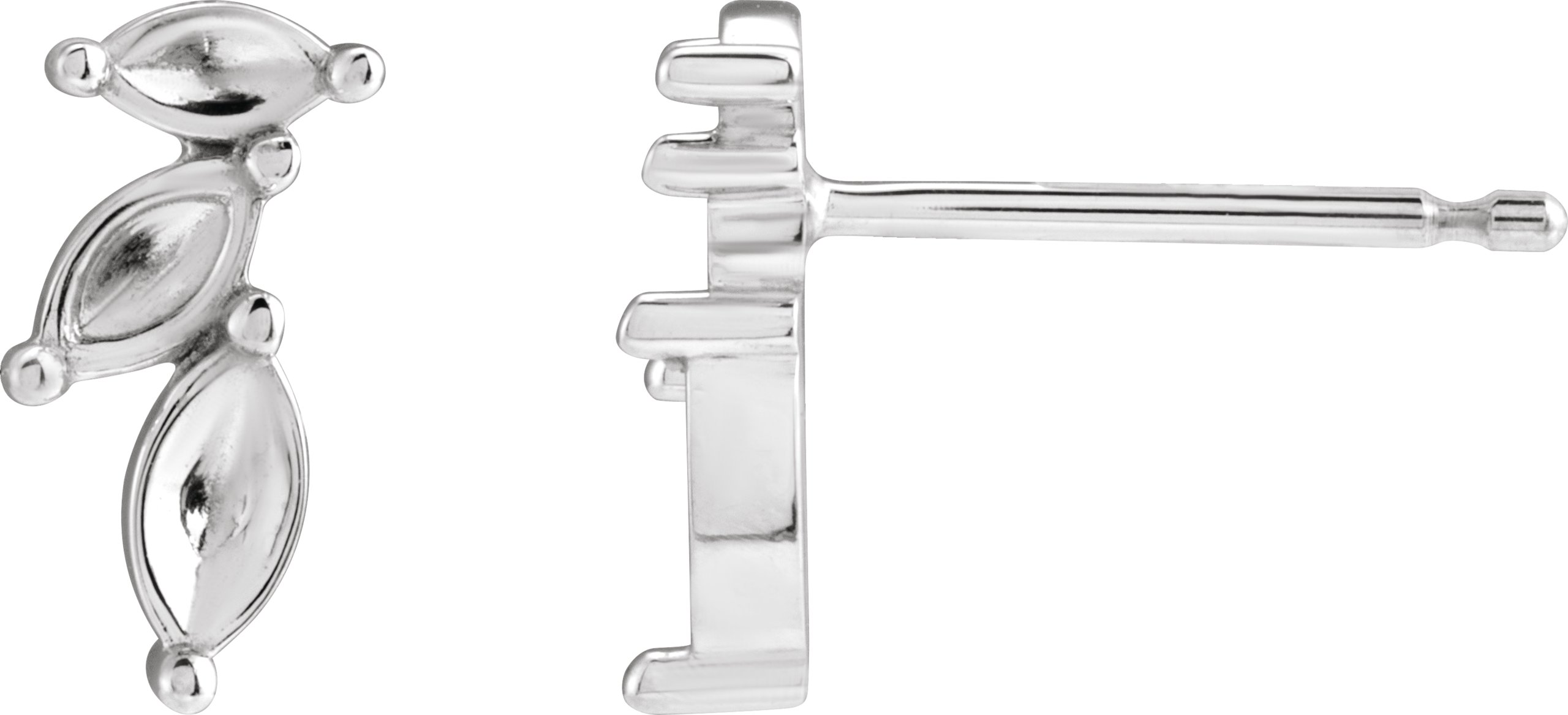 Accented Earrings