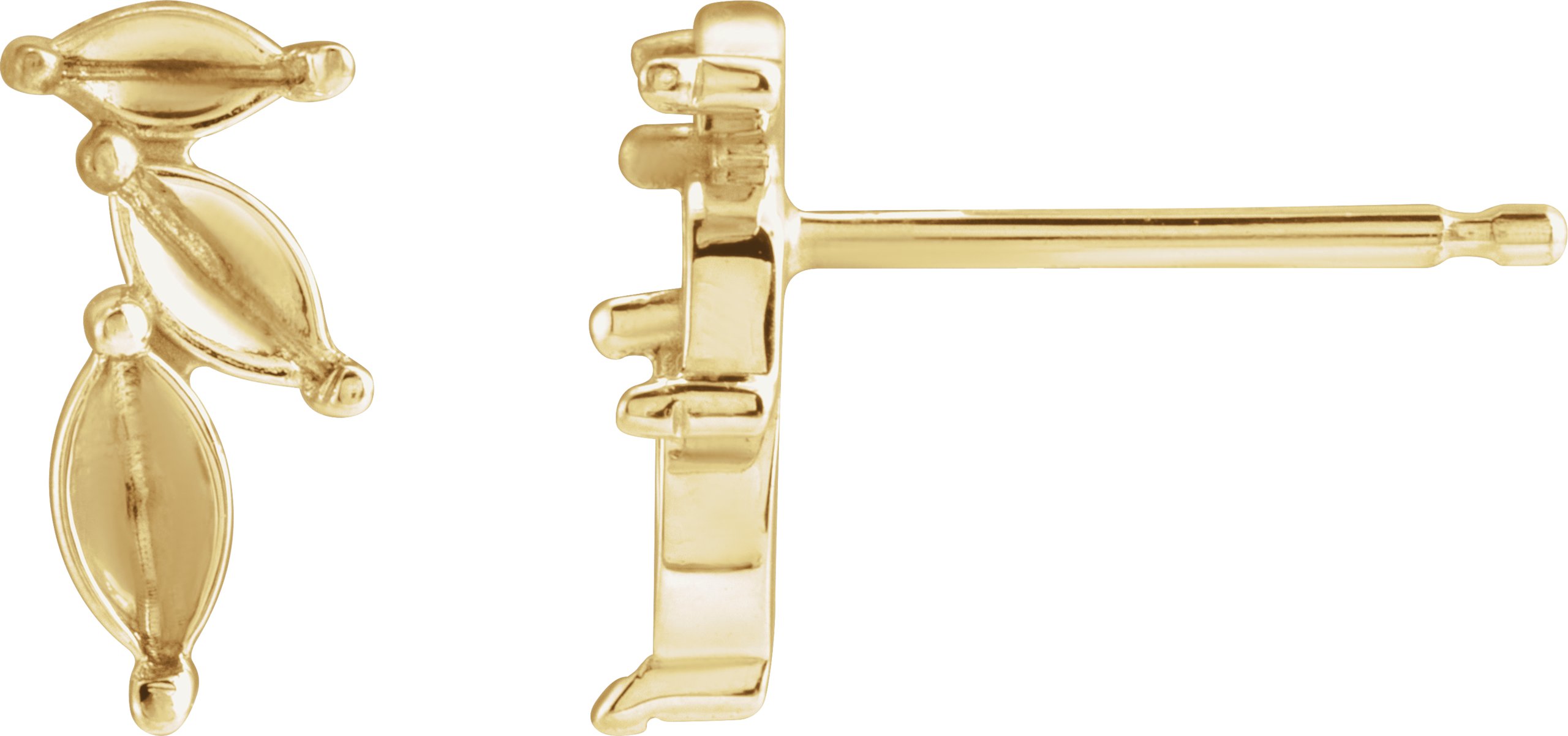 Accented Earrings