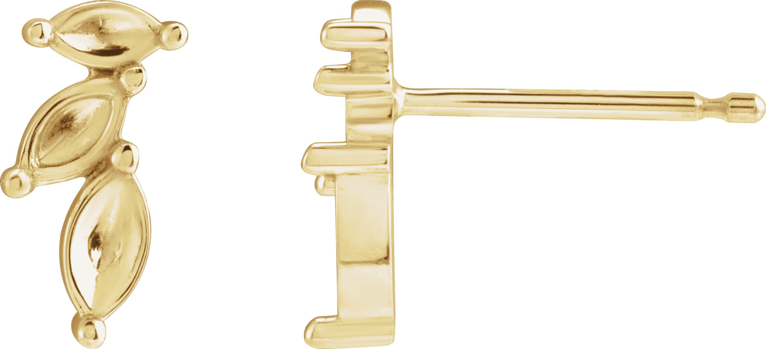 Accented Earrings