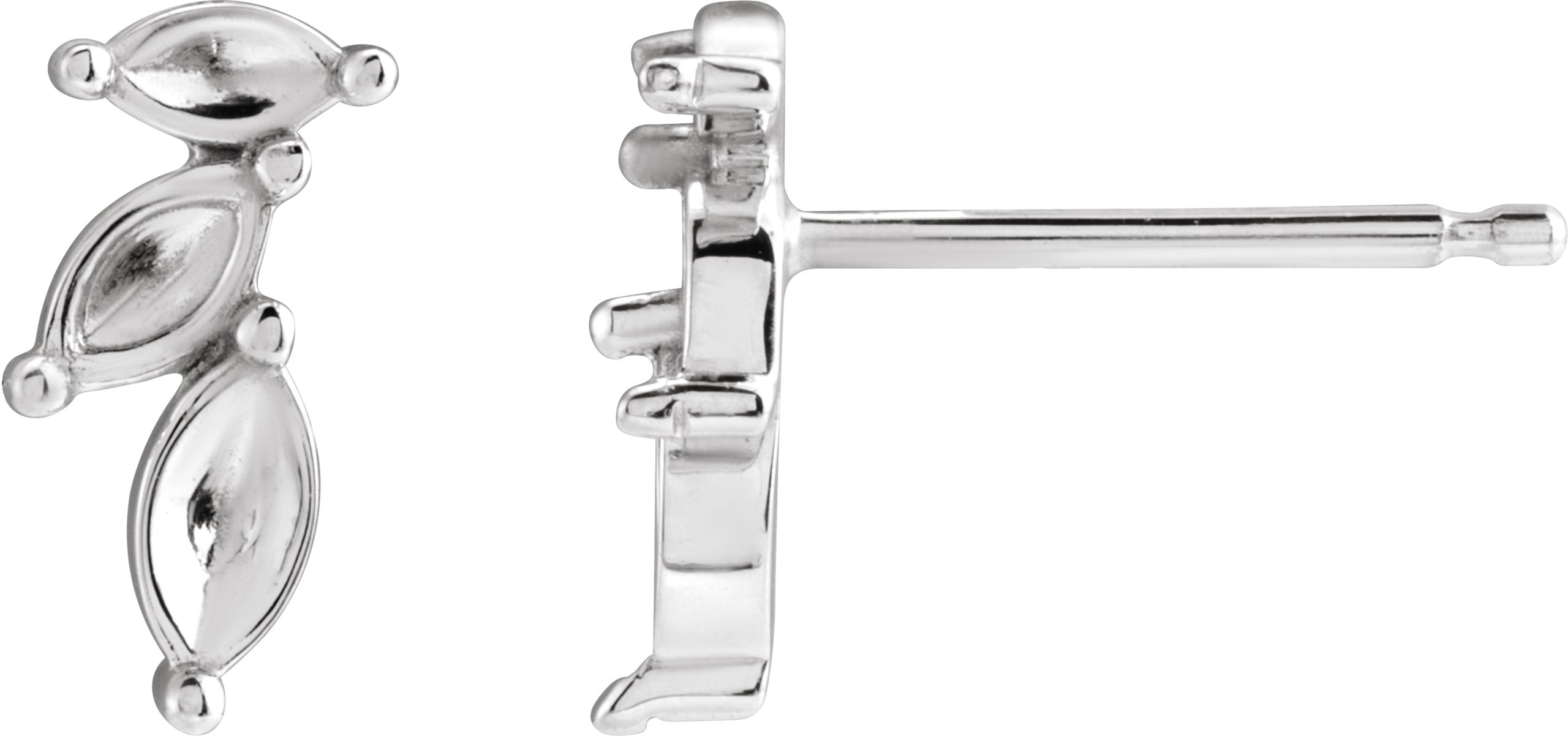 Accented Earrings