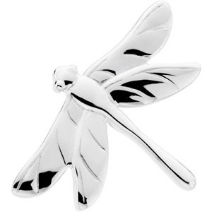 The Dragonfly Brooch