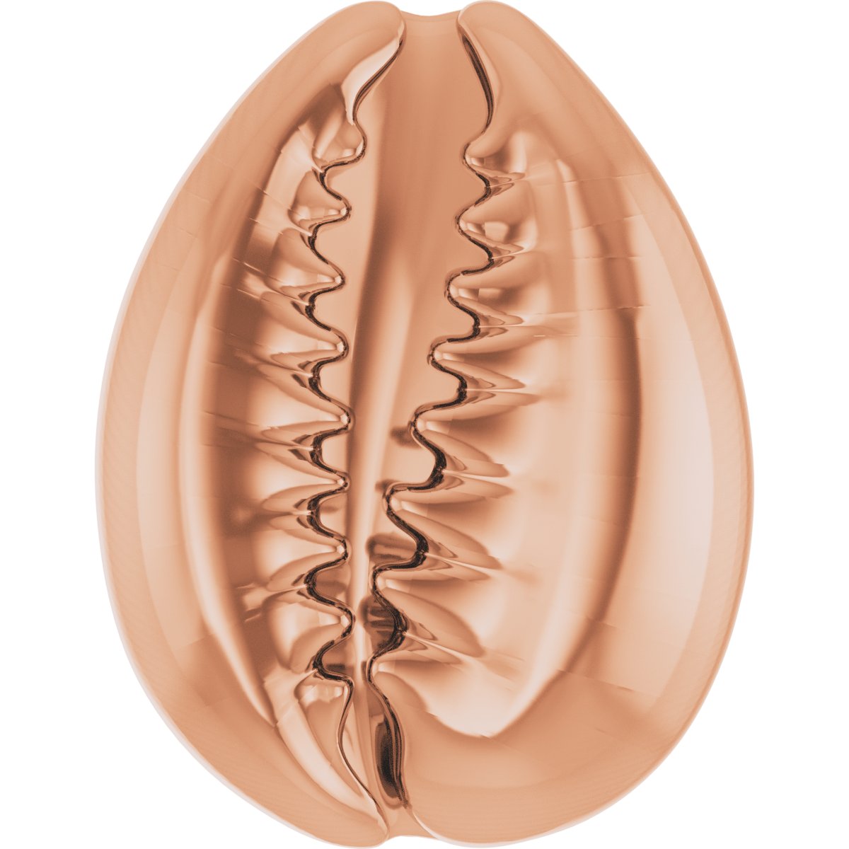 Cowrie Shell Trim