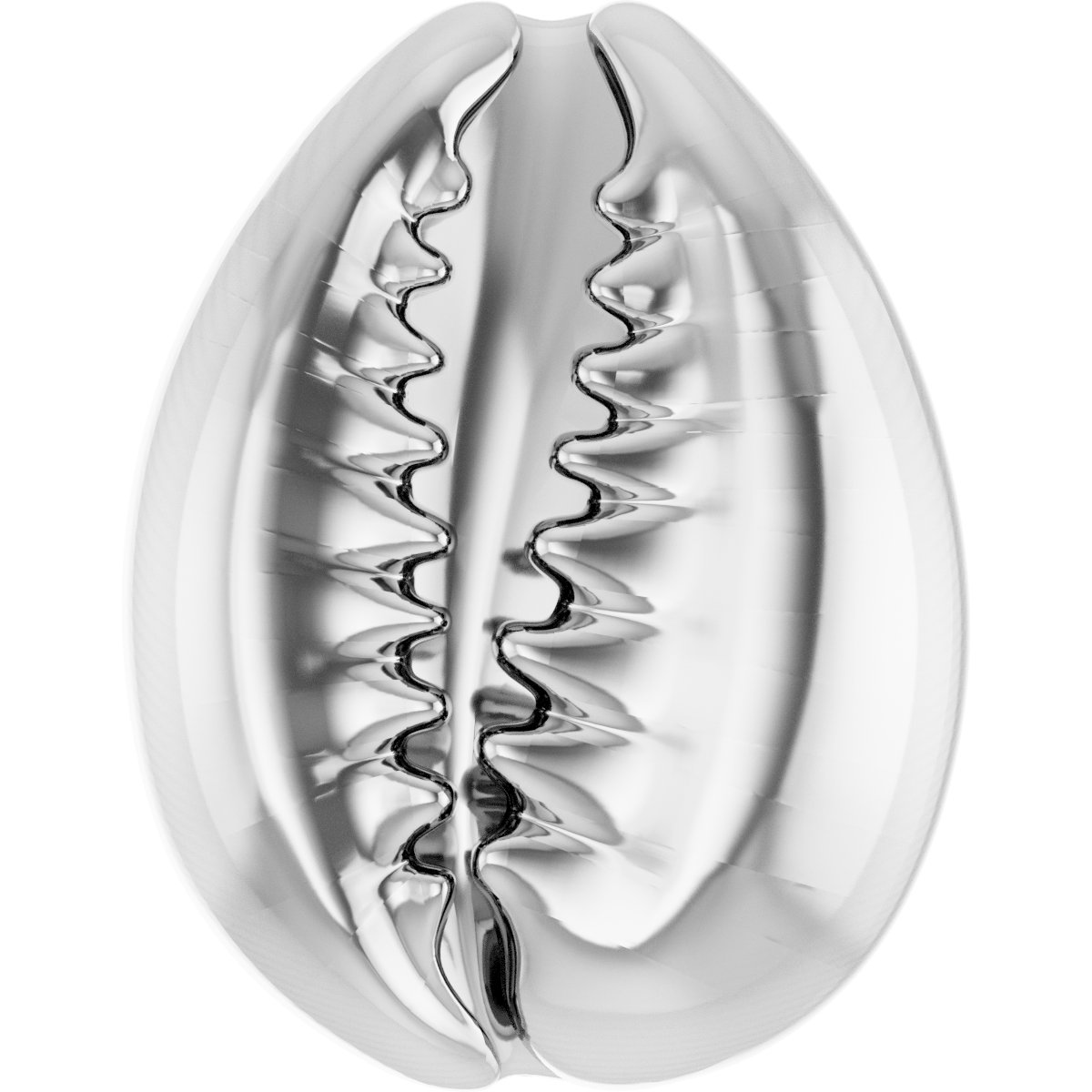 Cowrie Shell Trim