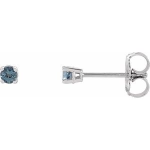 14K White 2.5 mm Natural Aquamarine Stud Earrings with Friction Post