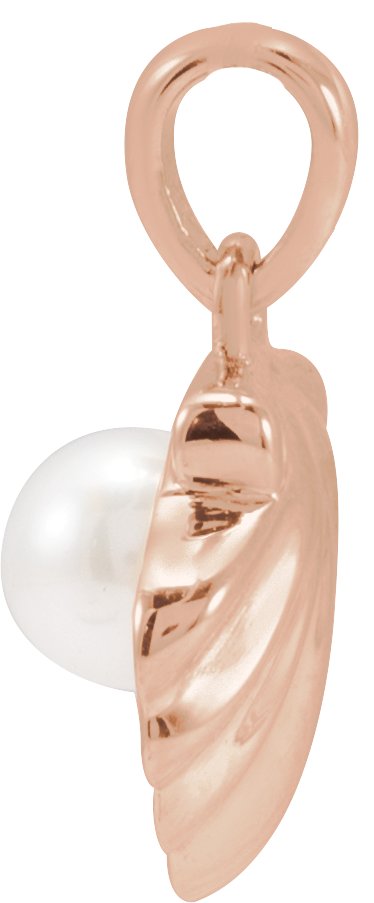 Alternative view of Pearl Shell Necklace or Charm/Pendant