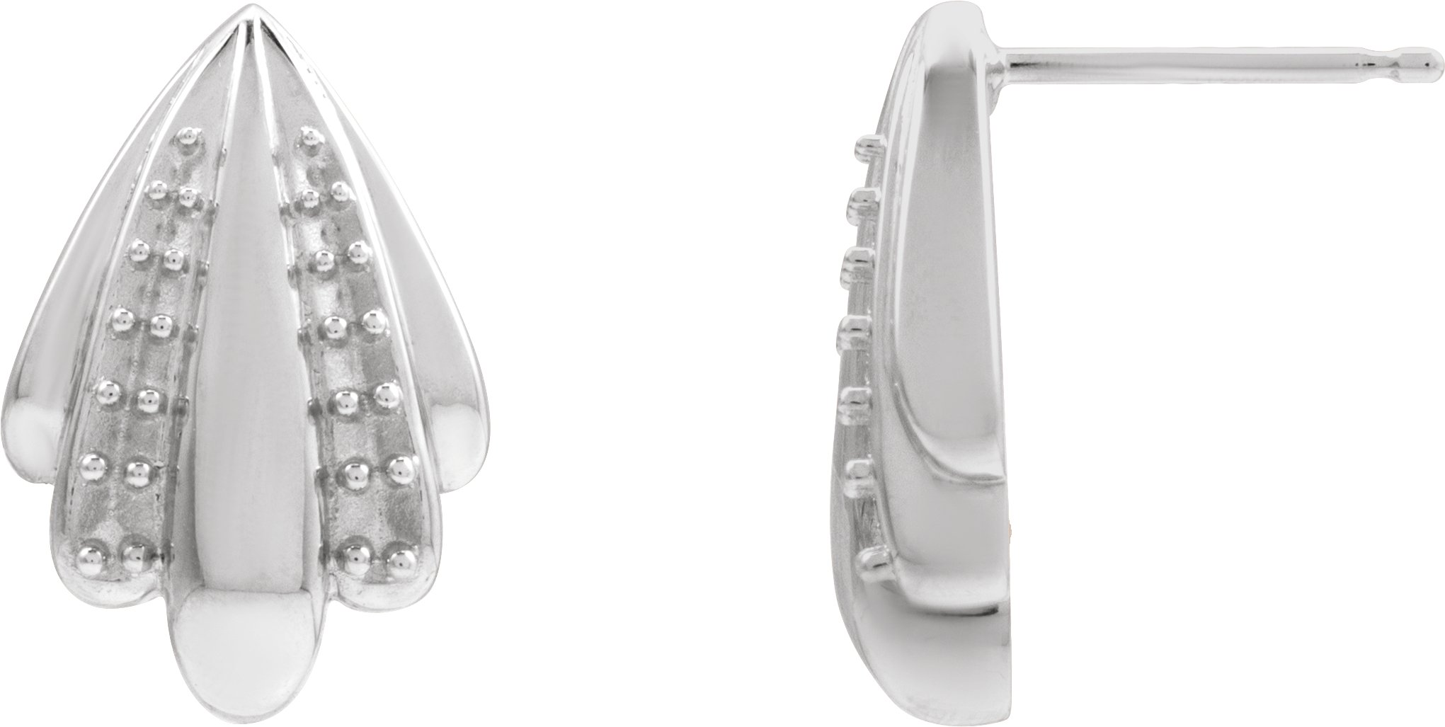 Accented Earrings