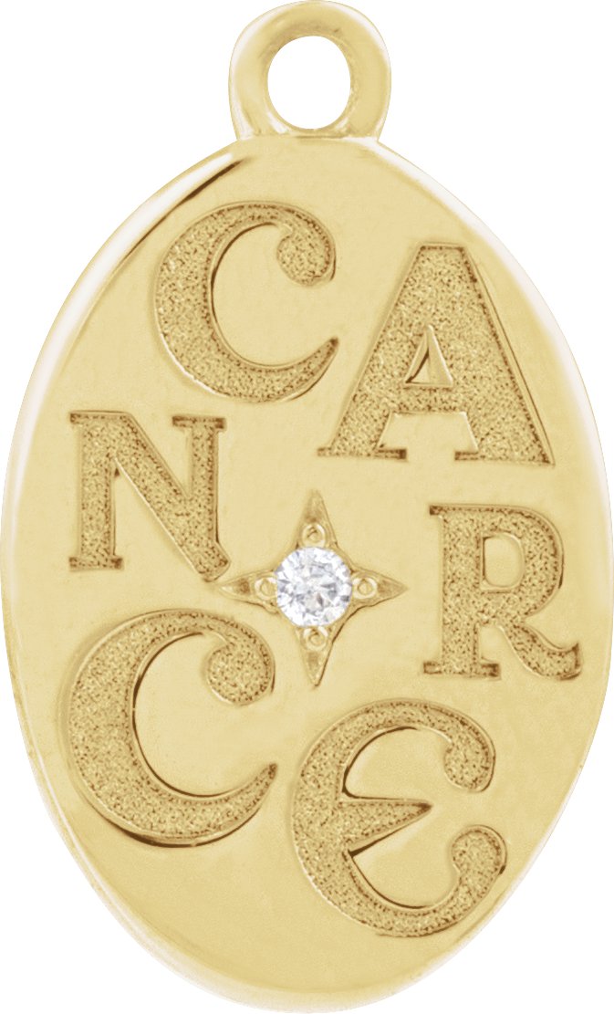 Accented Zodiac Dangle