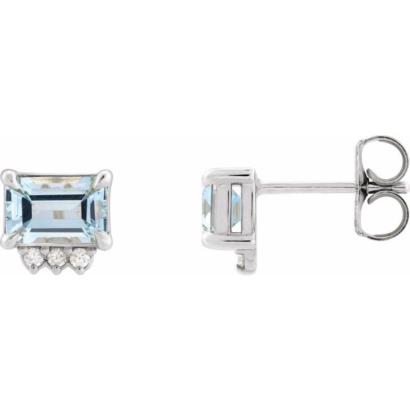 Accented Earrings