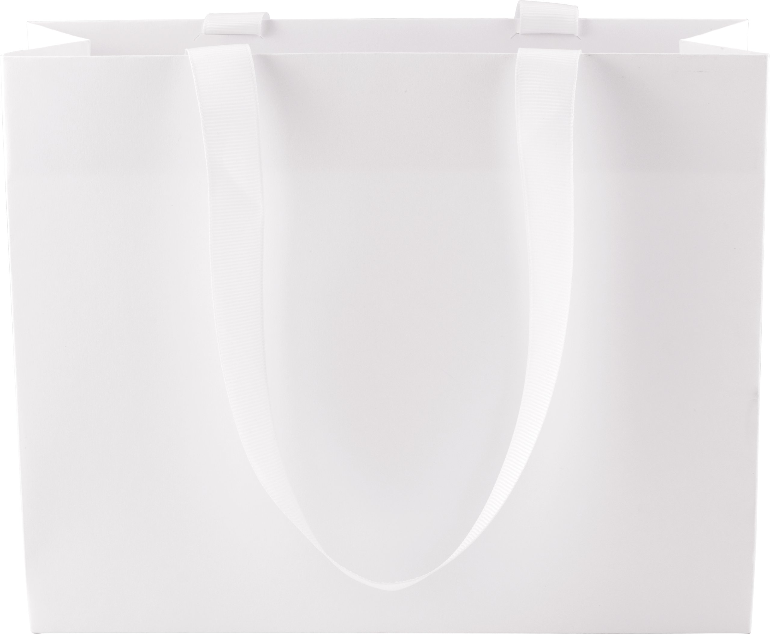 Ribbon Handle Collection Matte Paper Gift Bags