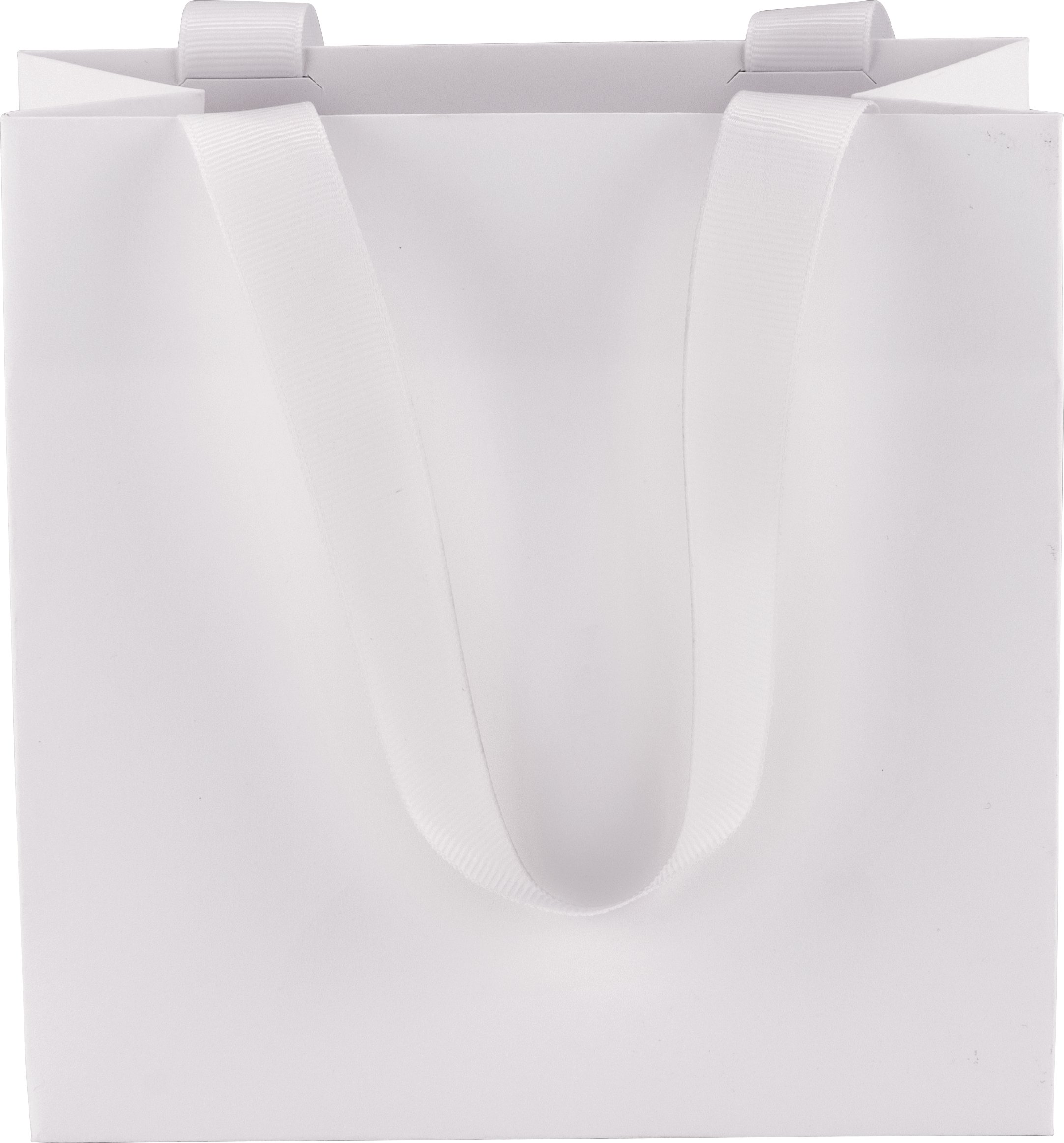 Ribbon Handle Collection Matte Paper Gift Bags