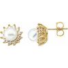 14K Yellow Akoya Cultured Pearl and .33 CTW Diamond Earrings Ref. 1836141