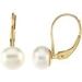 14K Yellow Freshwater Cultured Pearl Lever Back Earrings