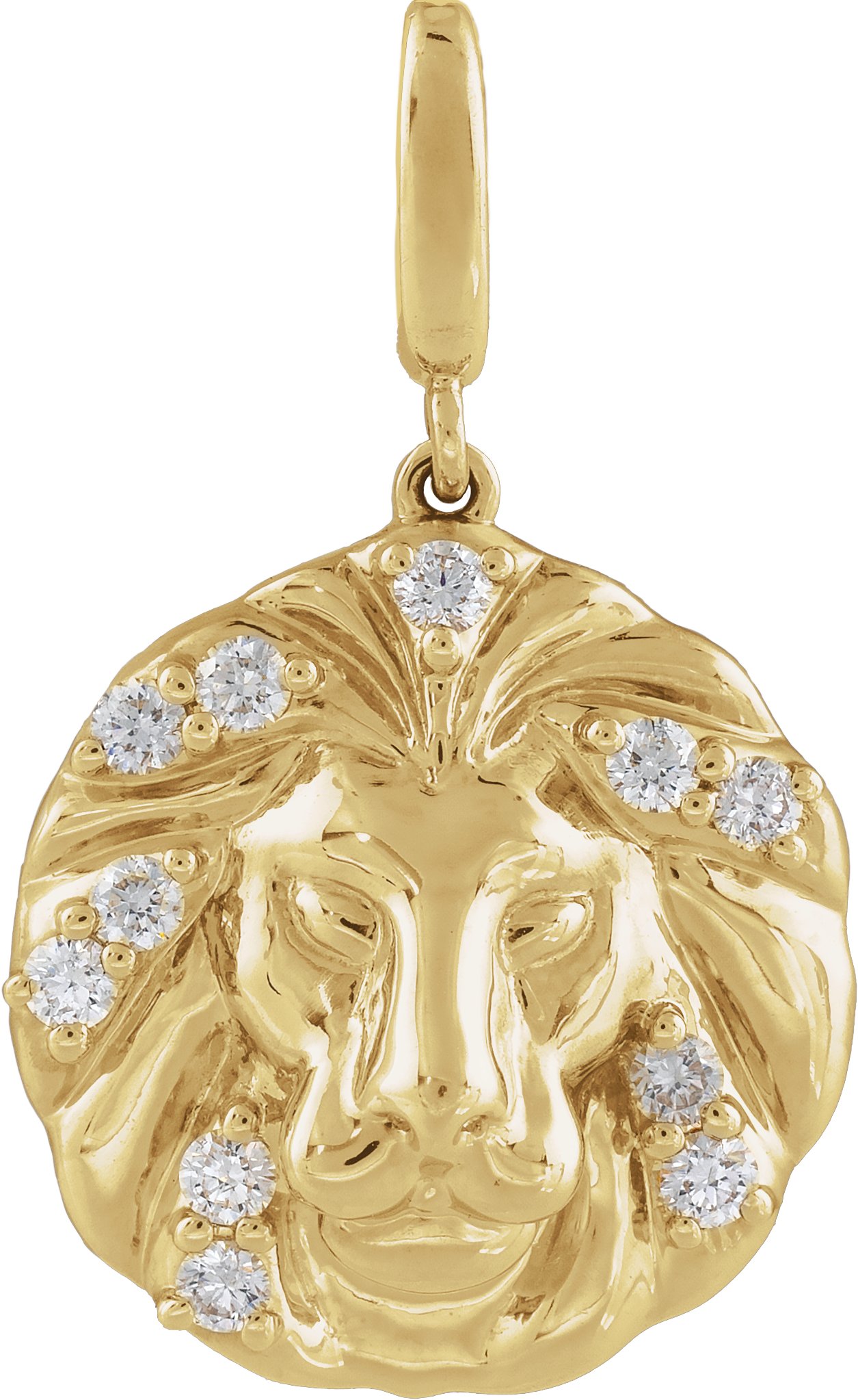 Accented Lion Charm/Pendant