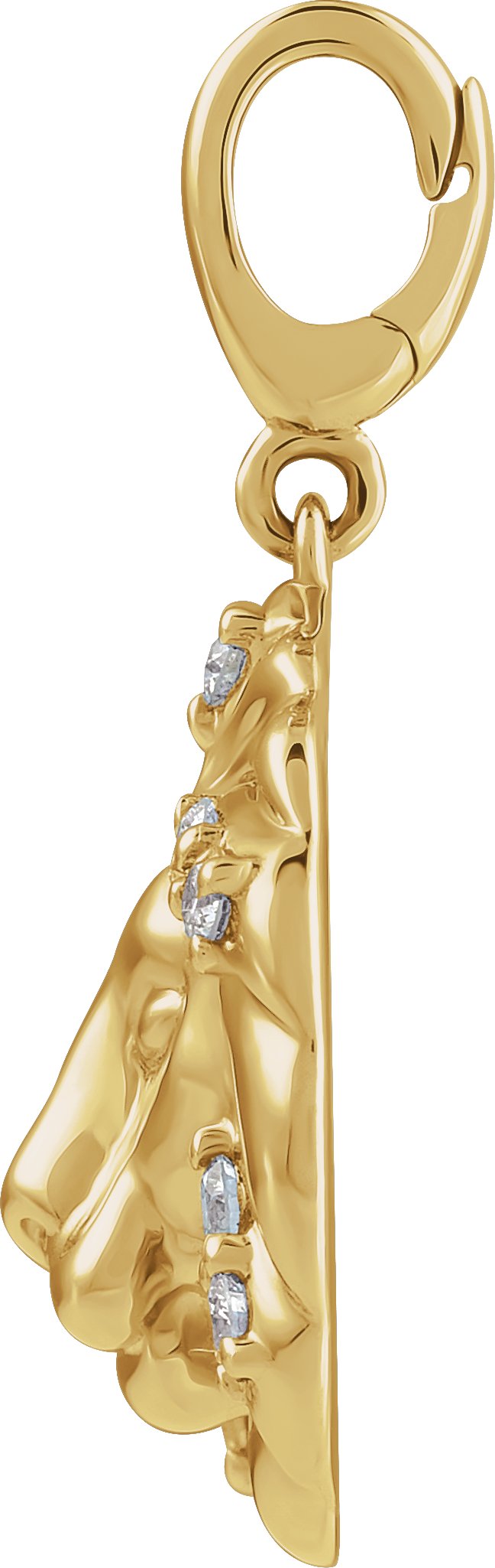 Alternative view of Accented Lion Charm/Pendant