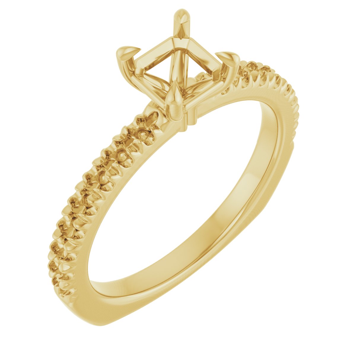 Claw-Prong Euro Shank Engagement Ring