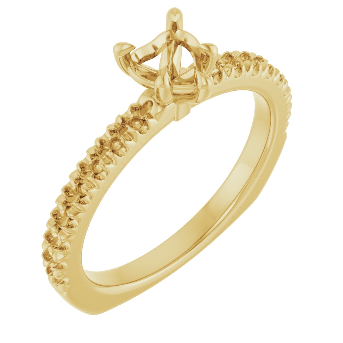 Claw-Prong Euro Shank Engagement Ring