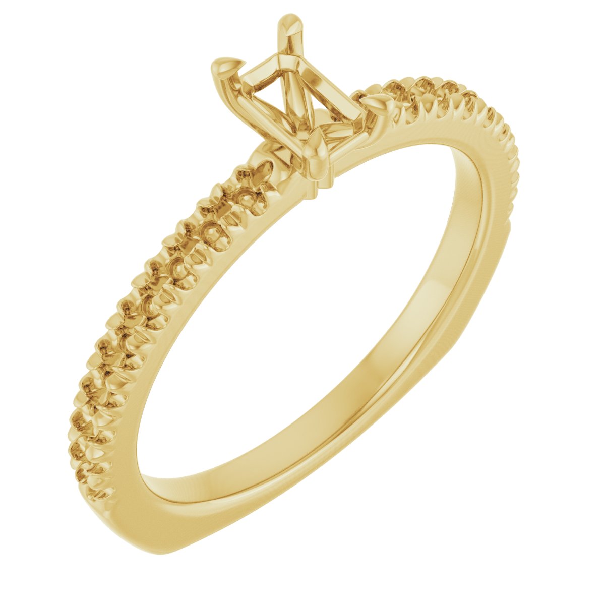 Claw-Prong Euro Shank Engagement Ring