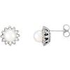 14K White Akoya Cultured Pearl and .33 CTW Diamond Earrings Ref. 9395956