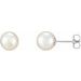 14K White 7-7.5 mm Cultured White Freshwater Pearl Earrings