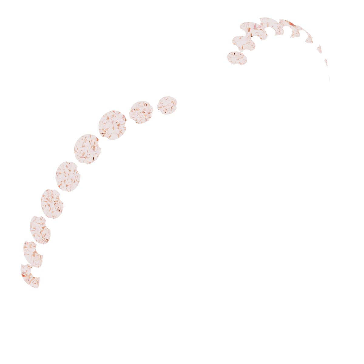 Accented Contour Band