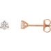 14K Rose 1/4 CTW Natural Diamond Stud Earrings