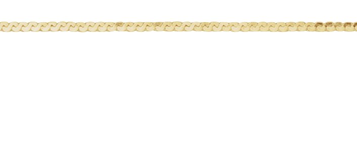 14K Yellow Gold-Filled .9 mm Serpentine Chain by the Inch view 2