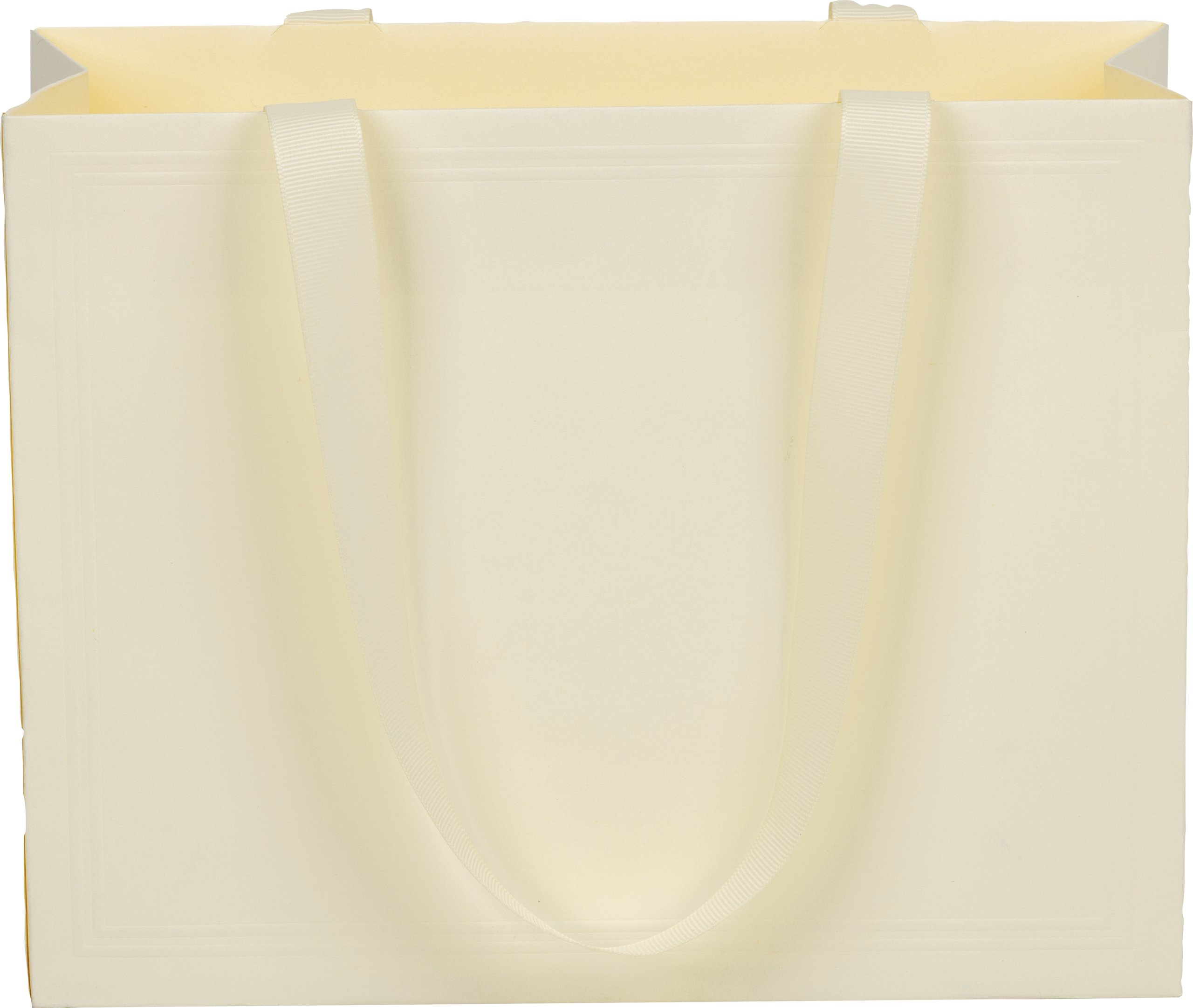 Ribbon Handle Collection Embossed Matte Paper Gift Bags