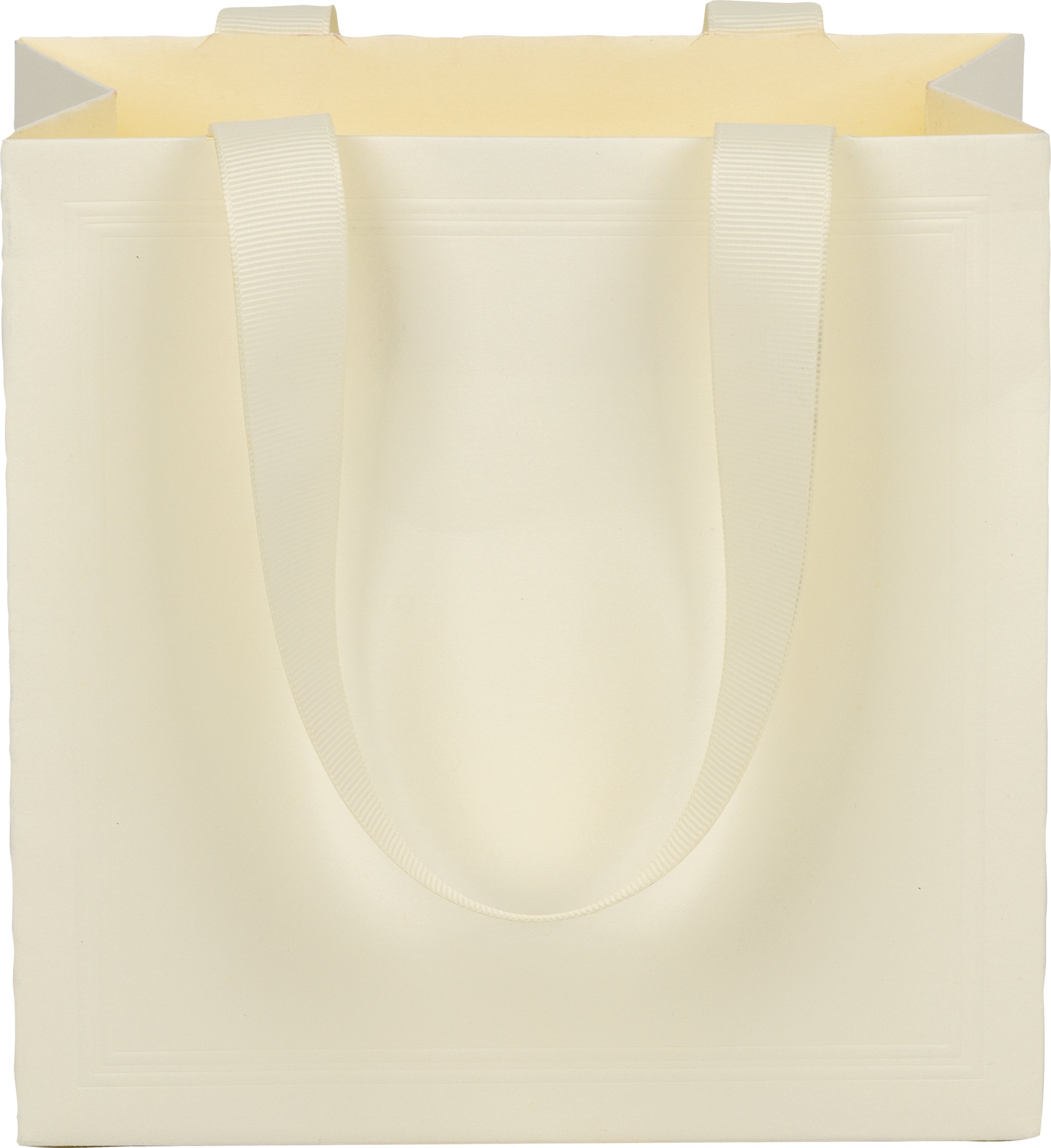 Ribbon Handle Collection Embossed Matte Paper Gift Bags