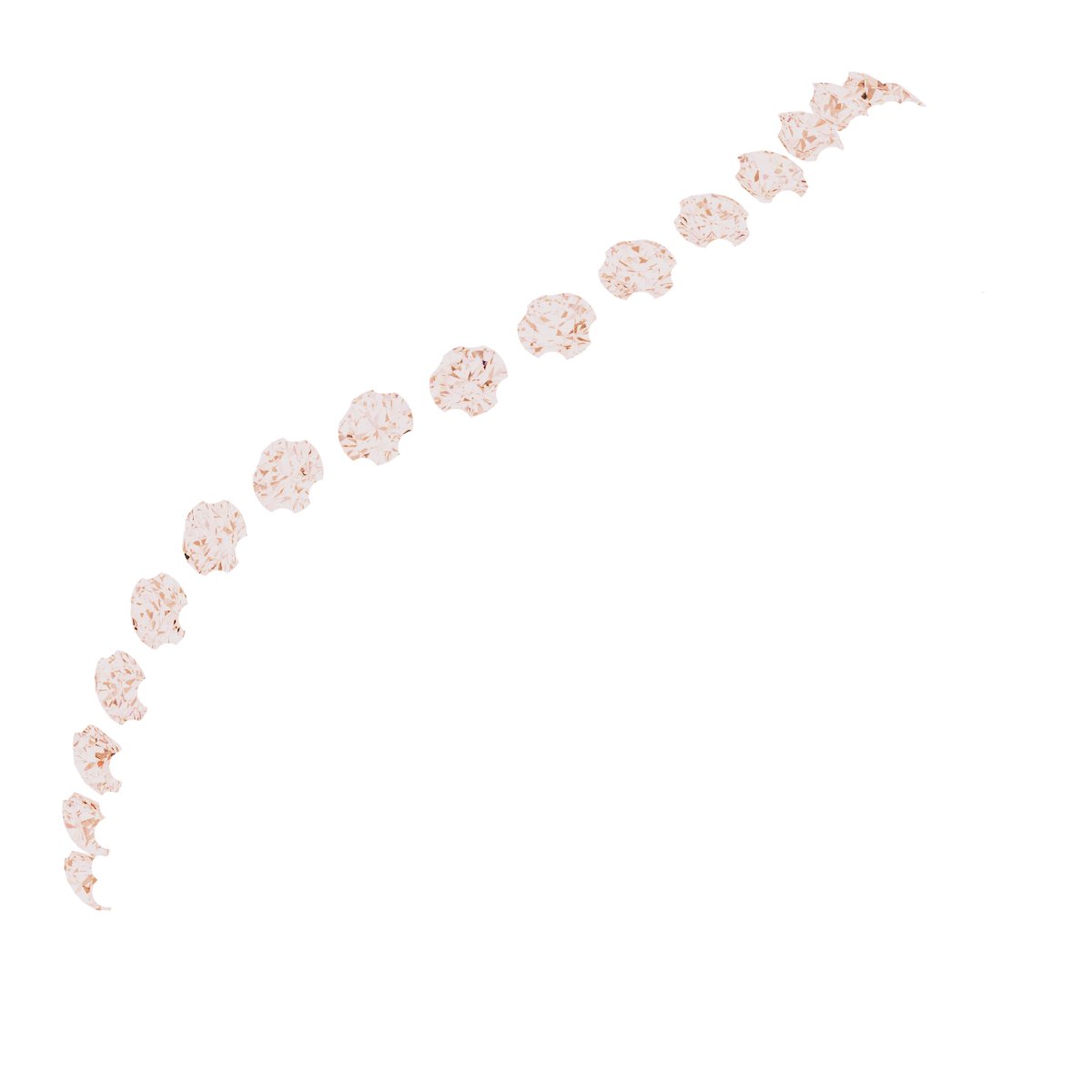 Accented Contour Band