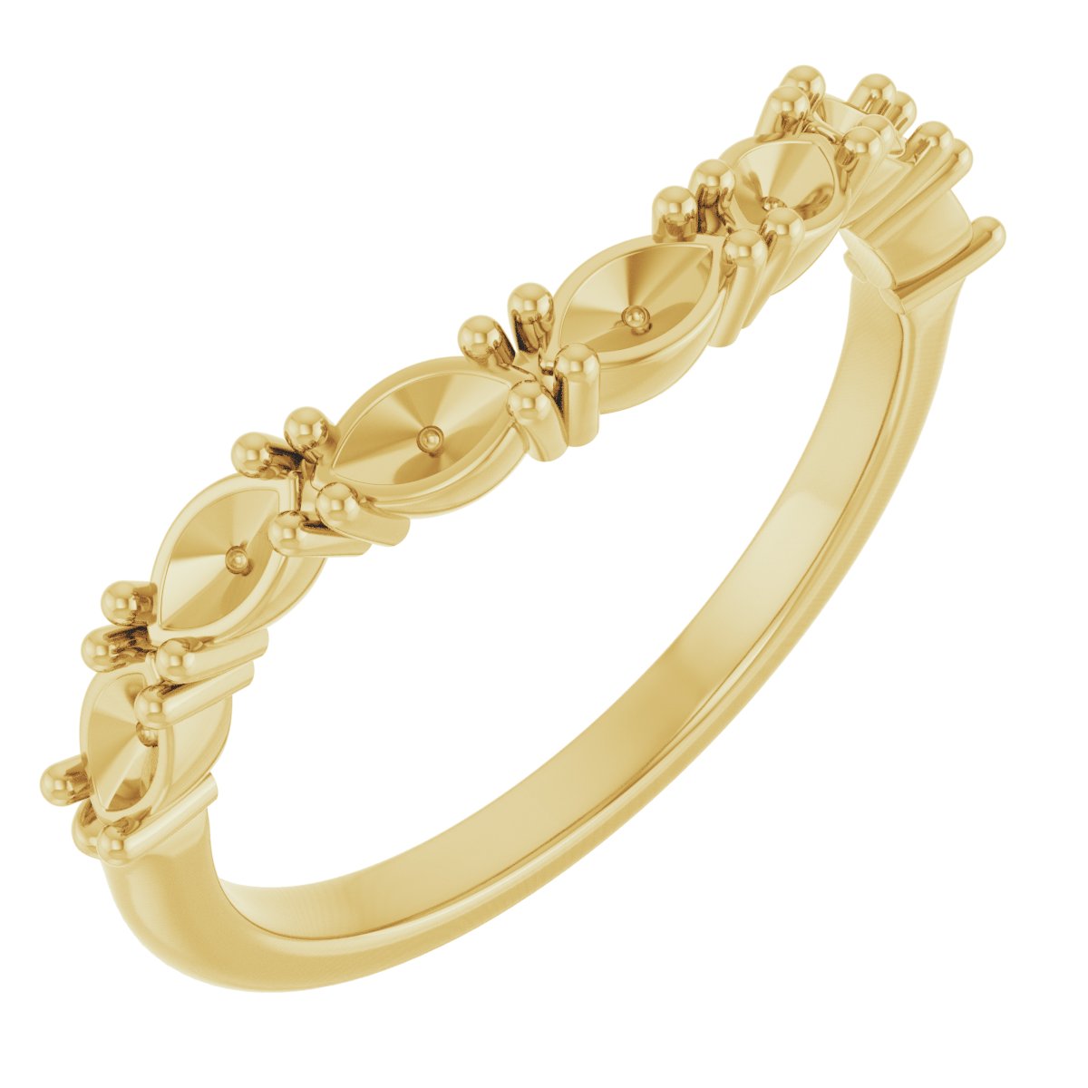 Accented Contour Band